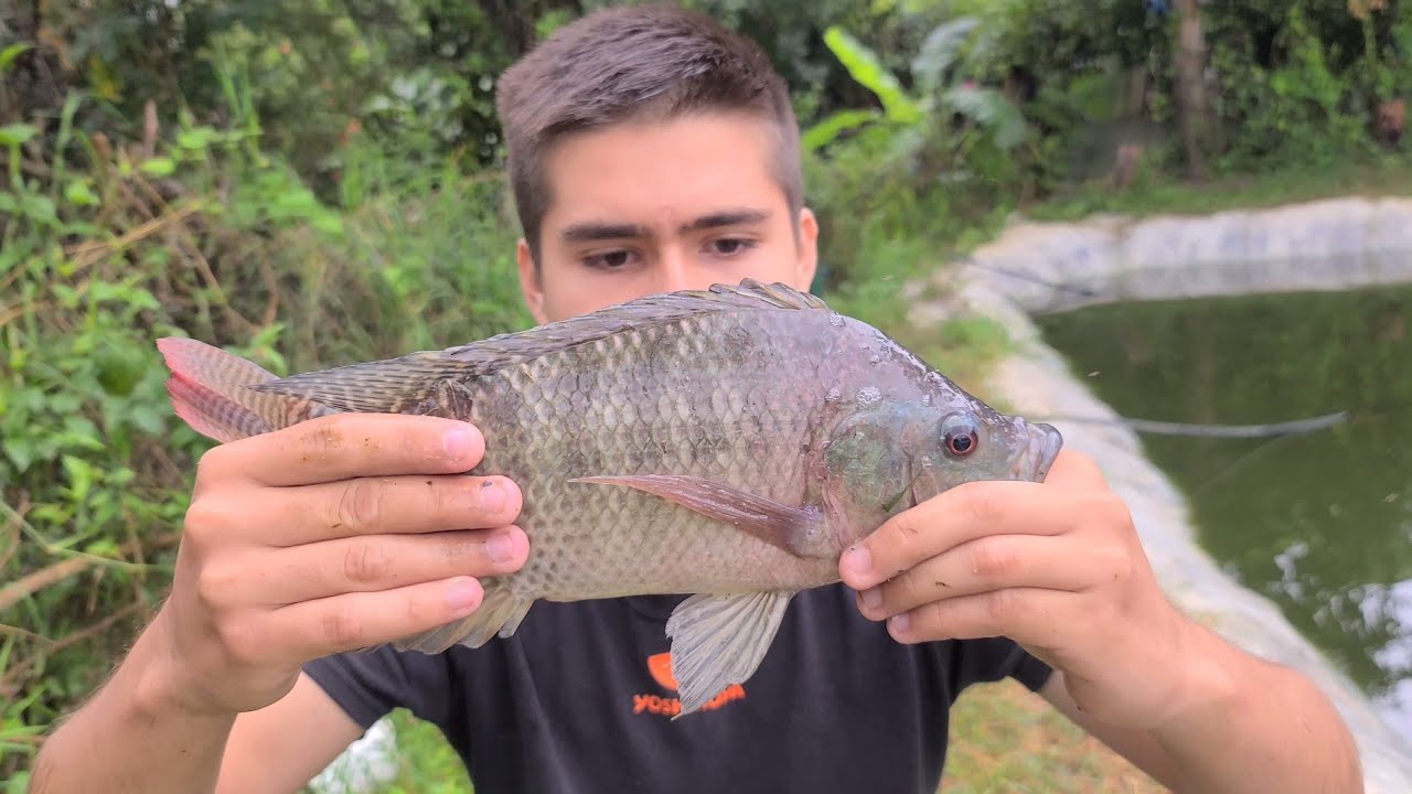 Asi nos fue en el negocio de la pesca |Les cuento
