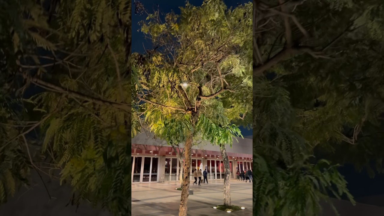 Sesc Belenzinho #sp #turismosp #saopauloturismo