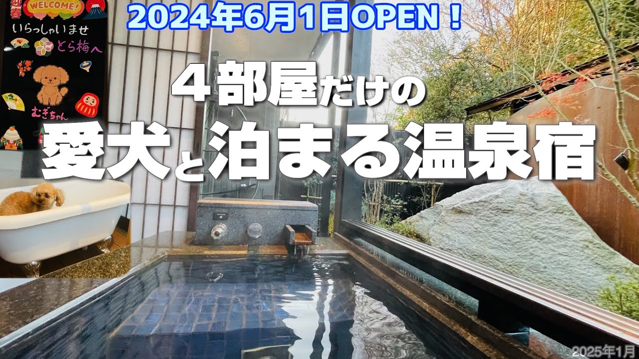 【こんぴら温泉とら梅♨️客室温泉露天風呂付の愛犬と泊まる宿】四国讃岐の絶品料理をお部屋で😋