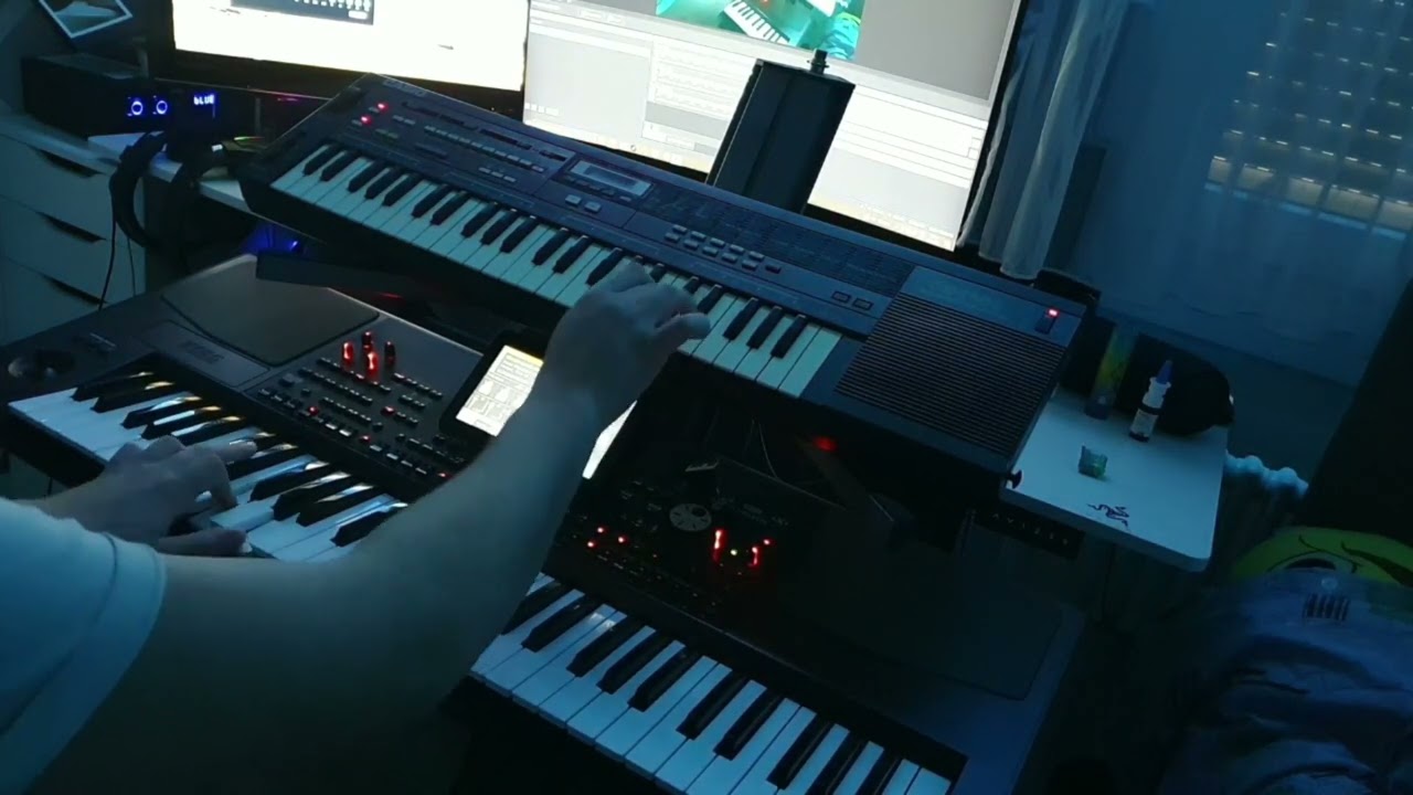 Sinan Sakic - Reci sve zelje Korg Pa 1000&Casio Cz230s