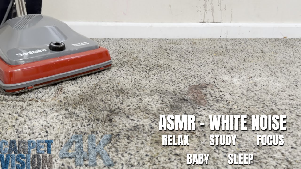 ASMR Carpet Cleaning | This DEEP CLEAN Almost Broke My New Vacuum 😮‍💨 (Sleep Now)