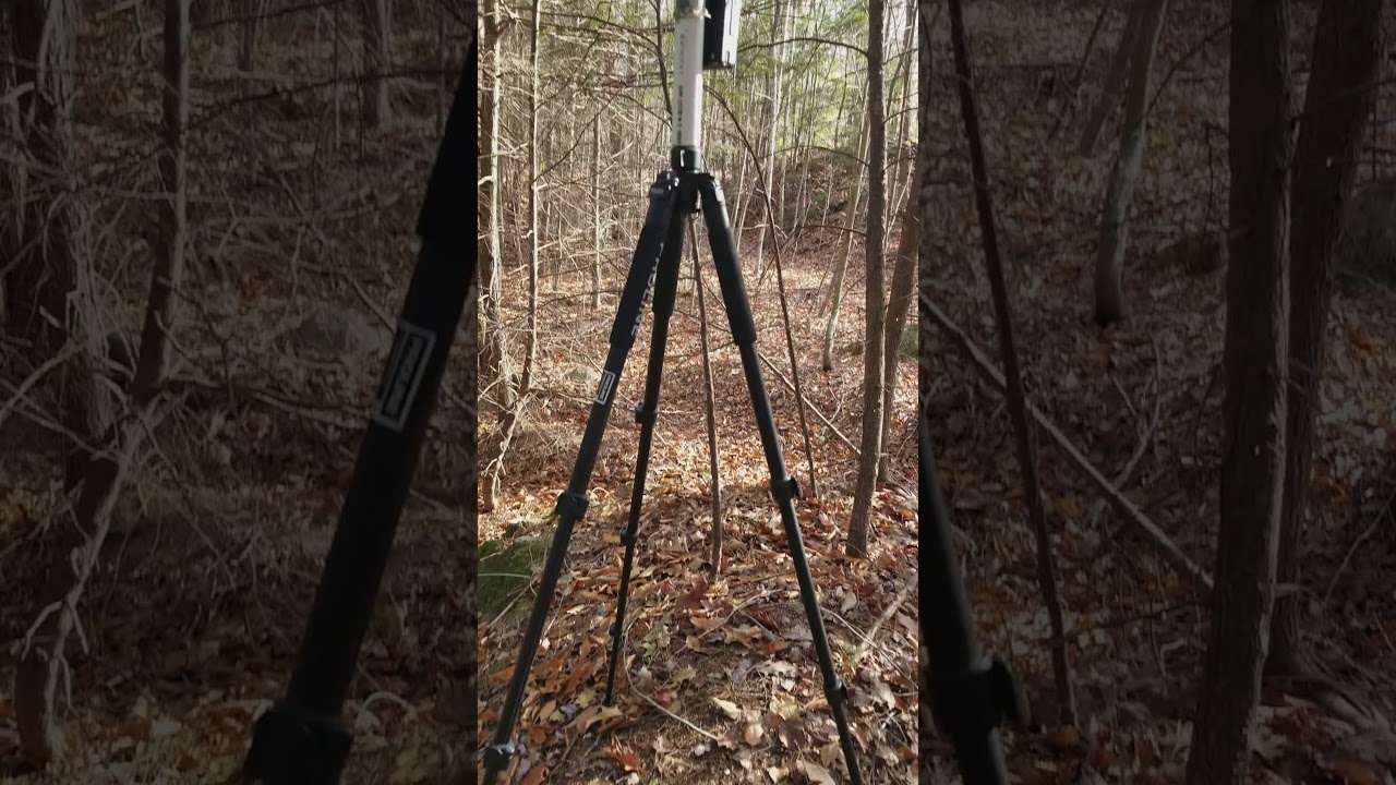 Elk Log Periodic L8