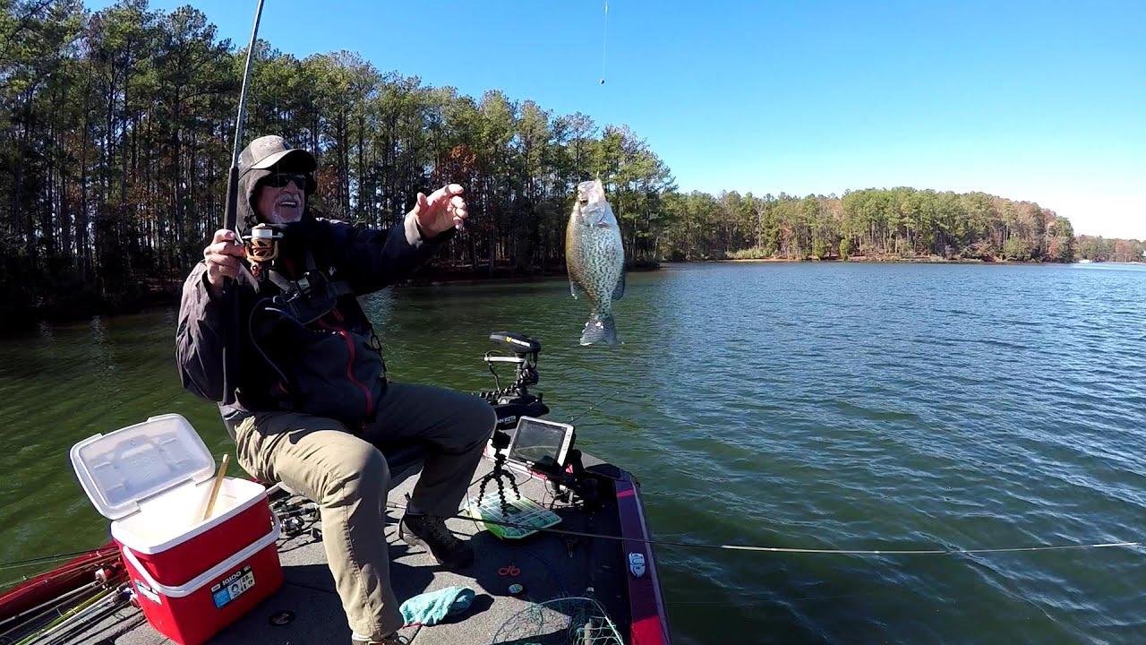 Jumbo Perch & Crappie, Lake Monticello