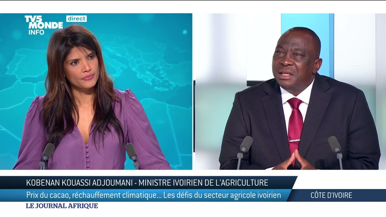 Côte d'Ivoire : le ministre Adjoumani répond à nos questions