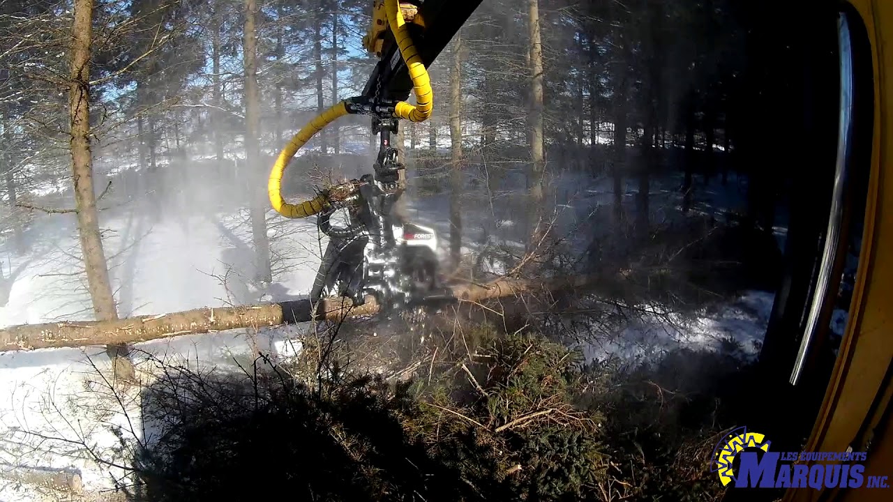 AFM 35 harvester head working viewed from the operator cabin. Tête d'abattage AFM 35