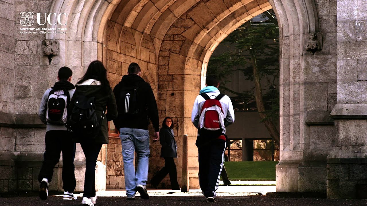 Why Choose BIS in UCC?