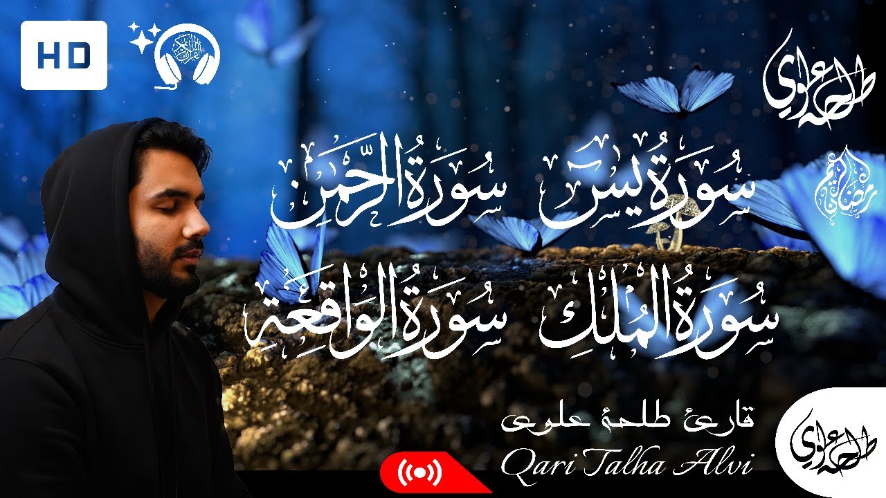 سورة يس + سورة الرحمن + سورة الواقعة + سورة الملك | طلحة علوي