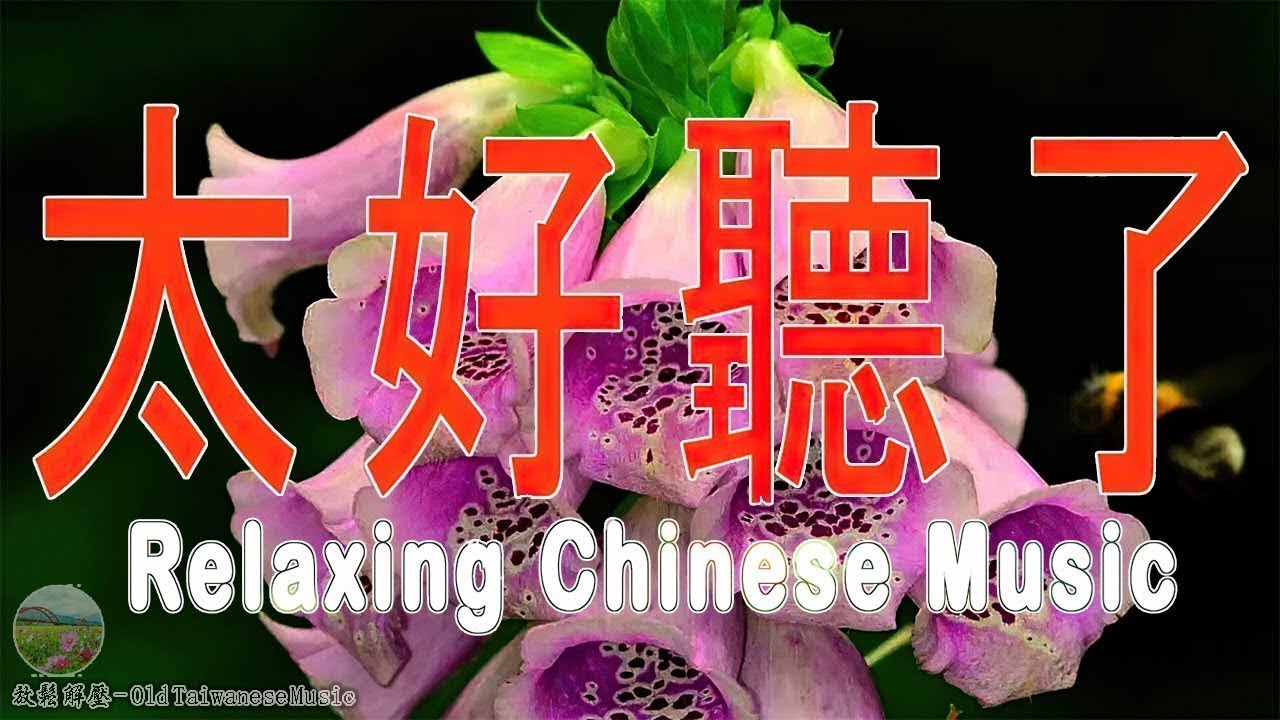 太美了 🎶 電子琴演奏👍电子琴100首好听歌曲【 3D環繞立體聲 】劉清池特殊音樂演奏曲🎶电子琴经典老歌再现经典🎶合集·镭射双电子琴演奏🎶最好聽的電子琴 老歌輕音樂 放鬆解 飛燕大樂隊 & 劉清池