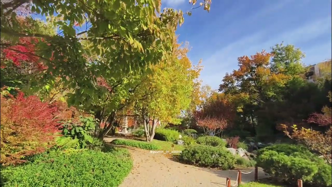 Exploring Vienna's Autumn Paradise