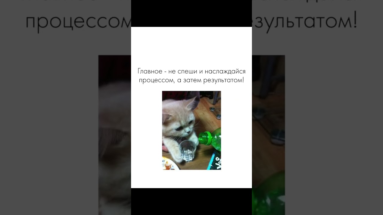 #гровинг #grow #гровер #420 #семяныч #sch