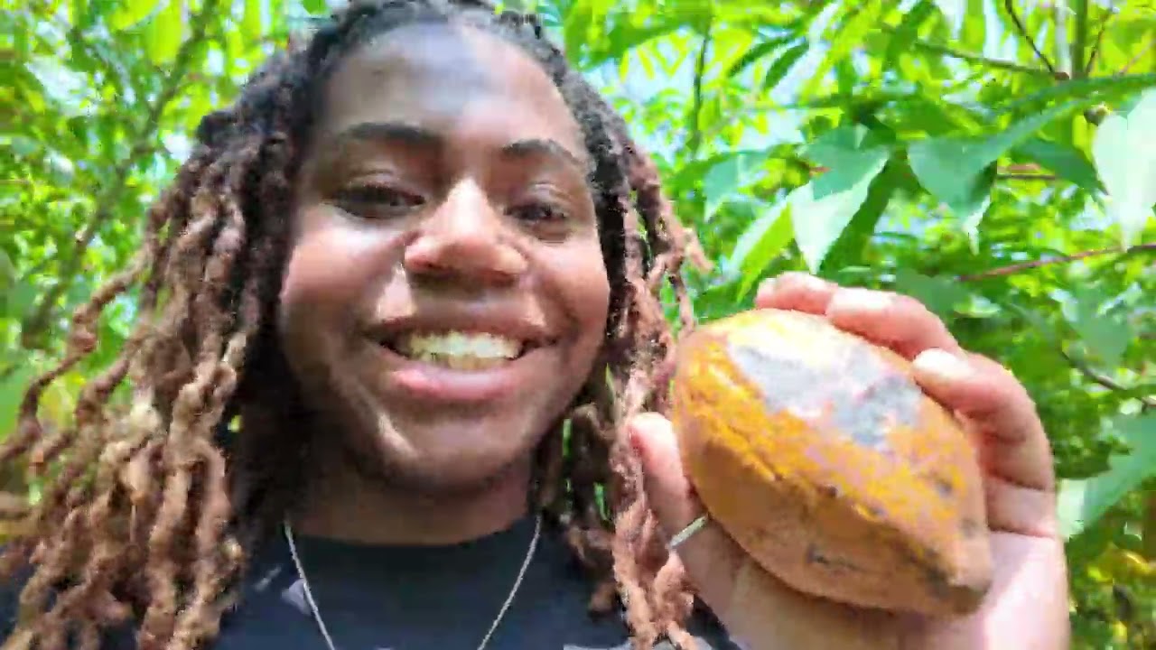 Ghana Travel Vlog: Business Trip in Ghana | FUN | ADVENTURE | HISTORY