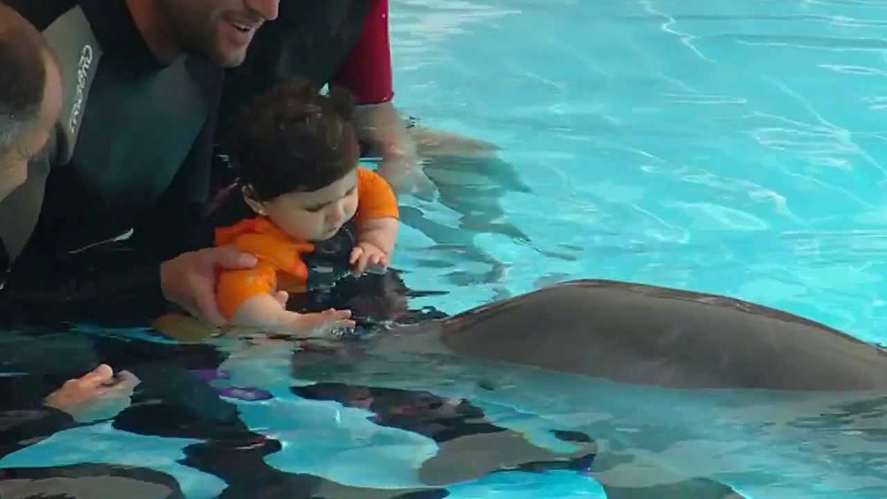 Delfinoterapia en Selwo Marina de Benalmádena (Málaga Junio 2012)