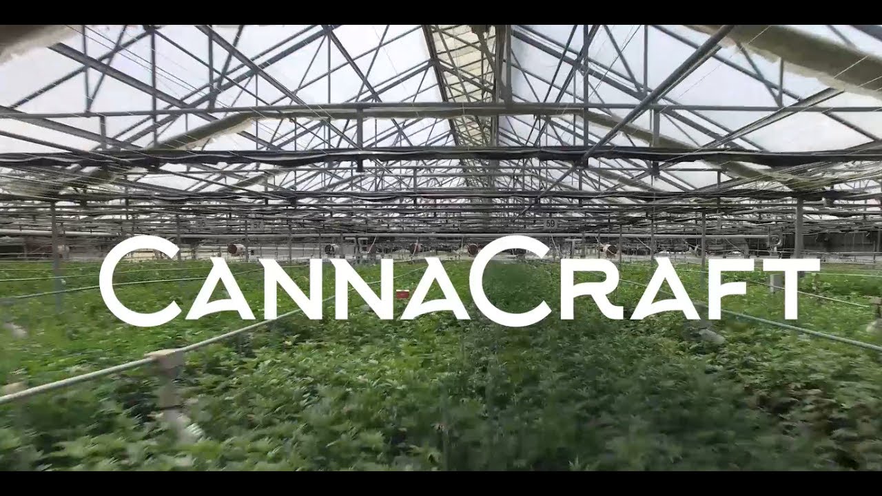 CannaCraft Facilities Tour Video