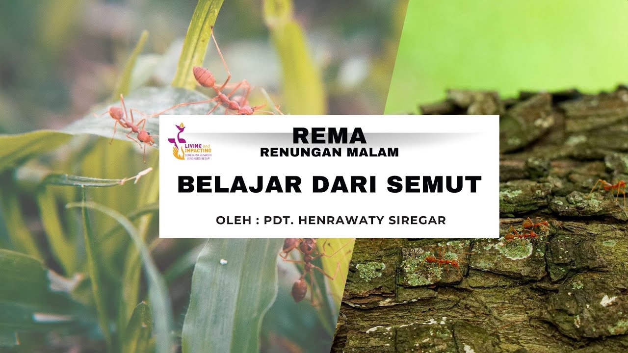 Belajar dari Semut // Amsal 6:6-11 // REMA GIA Lengkong Besar