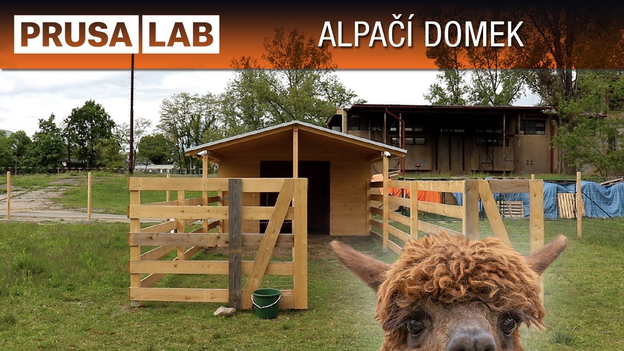 Alpaky uprostřed Prahy? Postavili jsme jim obydlí!