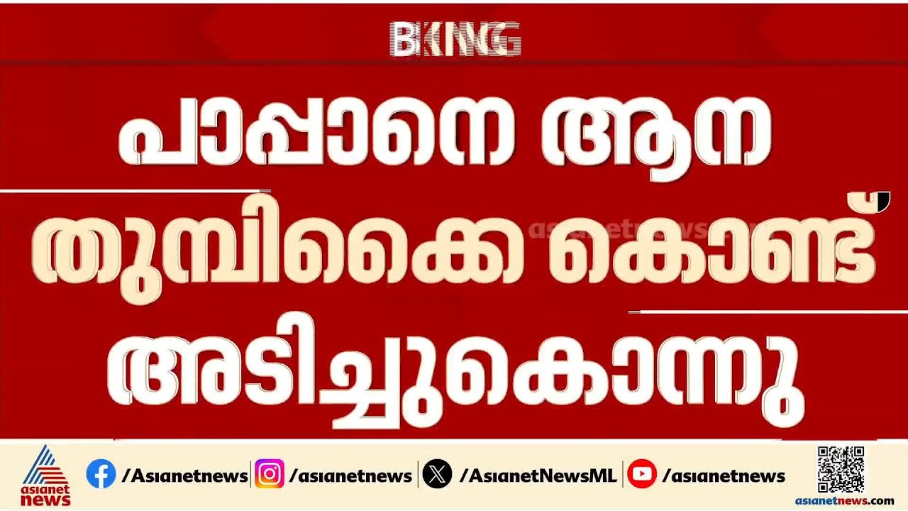 പാപ്പാനെ ആന അടിച്ചുകൊന്നു; സംഭവം കോട്ടൂർ ആന പരിപാലന കേന്ദ്രത്തിൽ