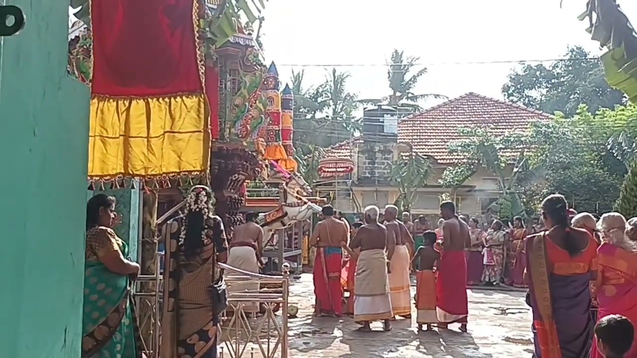 யாழ்.சுன்னாகம் திருவருள்மிகு முத்துமாரி அம்பாள்(வடலியம்மன்)தேவஸ்தான இரதோற்சவ நேரலை 31.01.2026