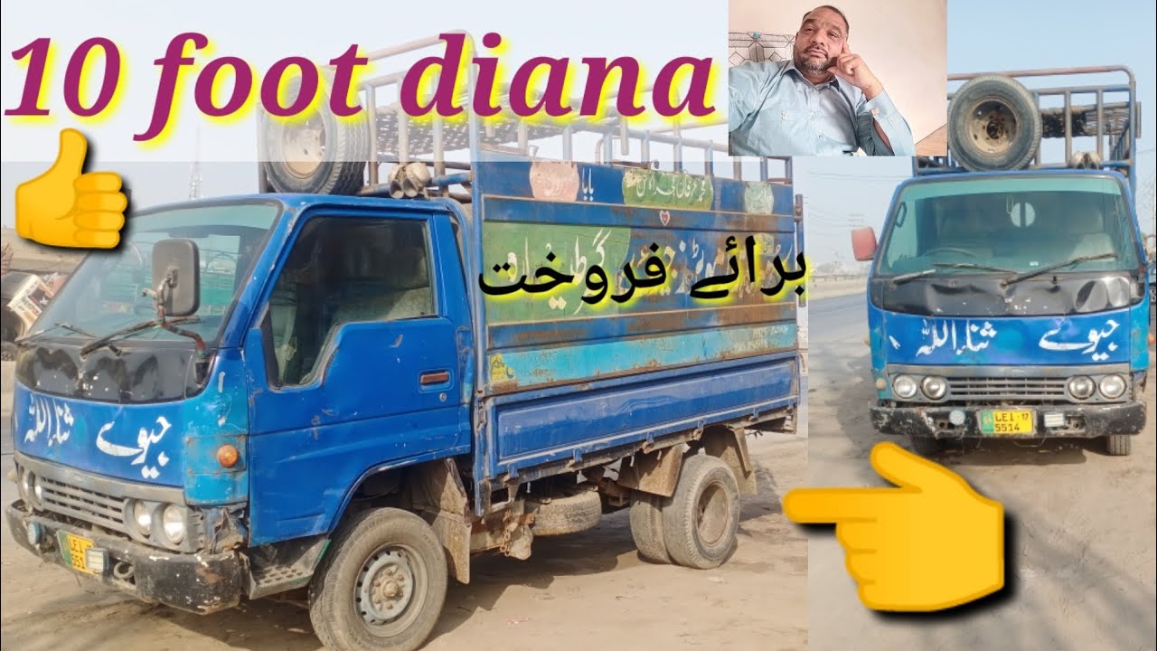 10 fit diana for sale