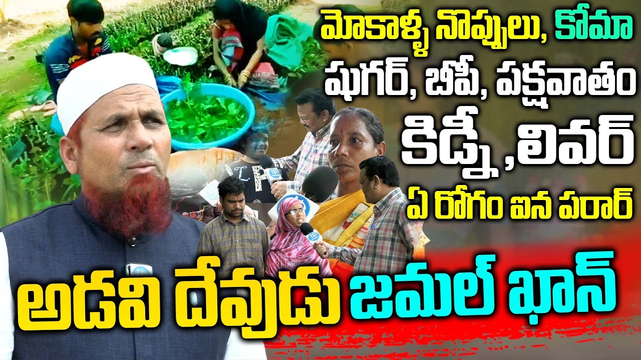 మోకాళ్ళ నొప్పులు, కంటిమసక ,పొట్టలో గ్యాస్ మాయం, షుగర్, బీపీ, నరాల బలహీనత, బీపీ రావు || Dr Jamal Khan
