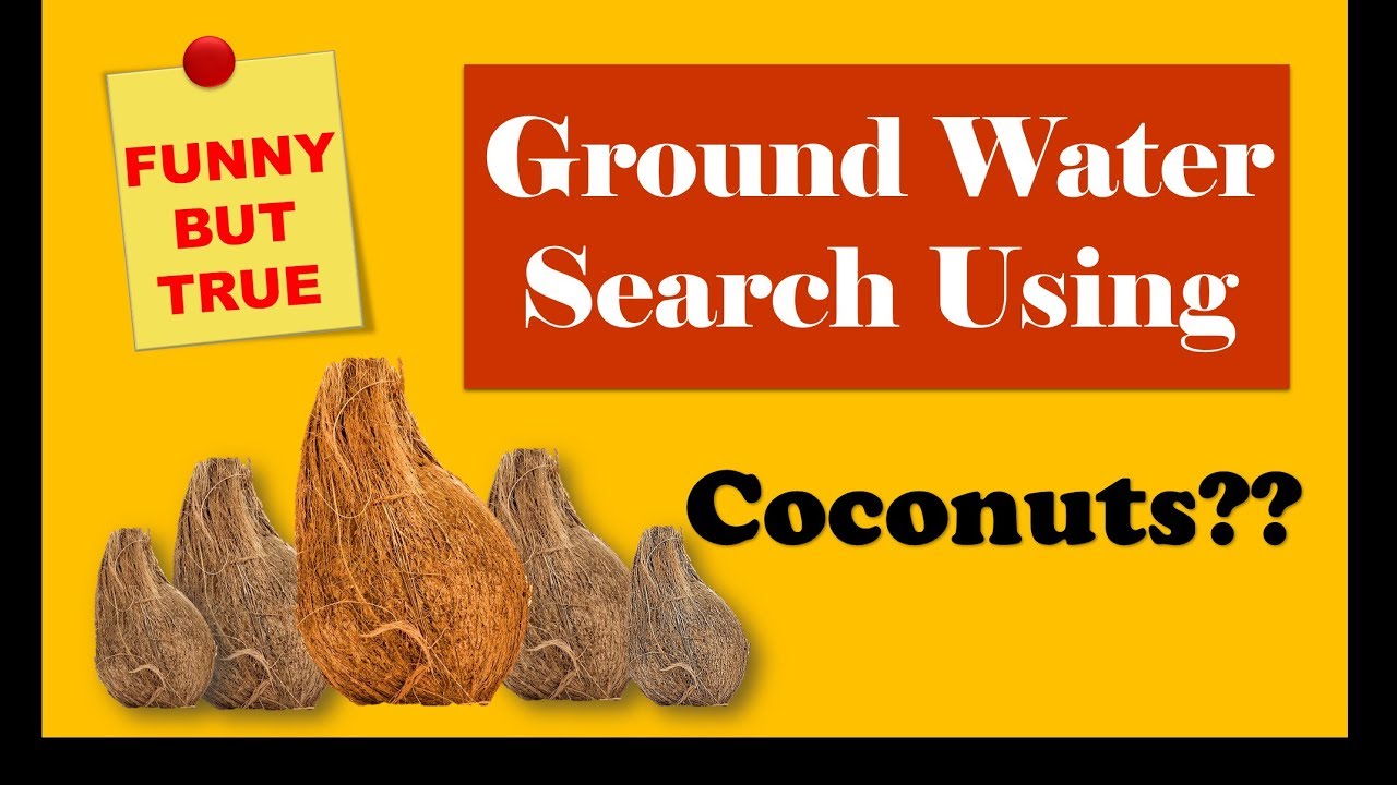 traditional method for water search -India-Maharashtra-vidharb-region