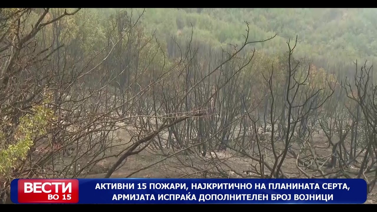 Активни 15 пожари, најкритично на планината Серта, армијата испраќа дополнителен број војници