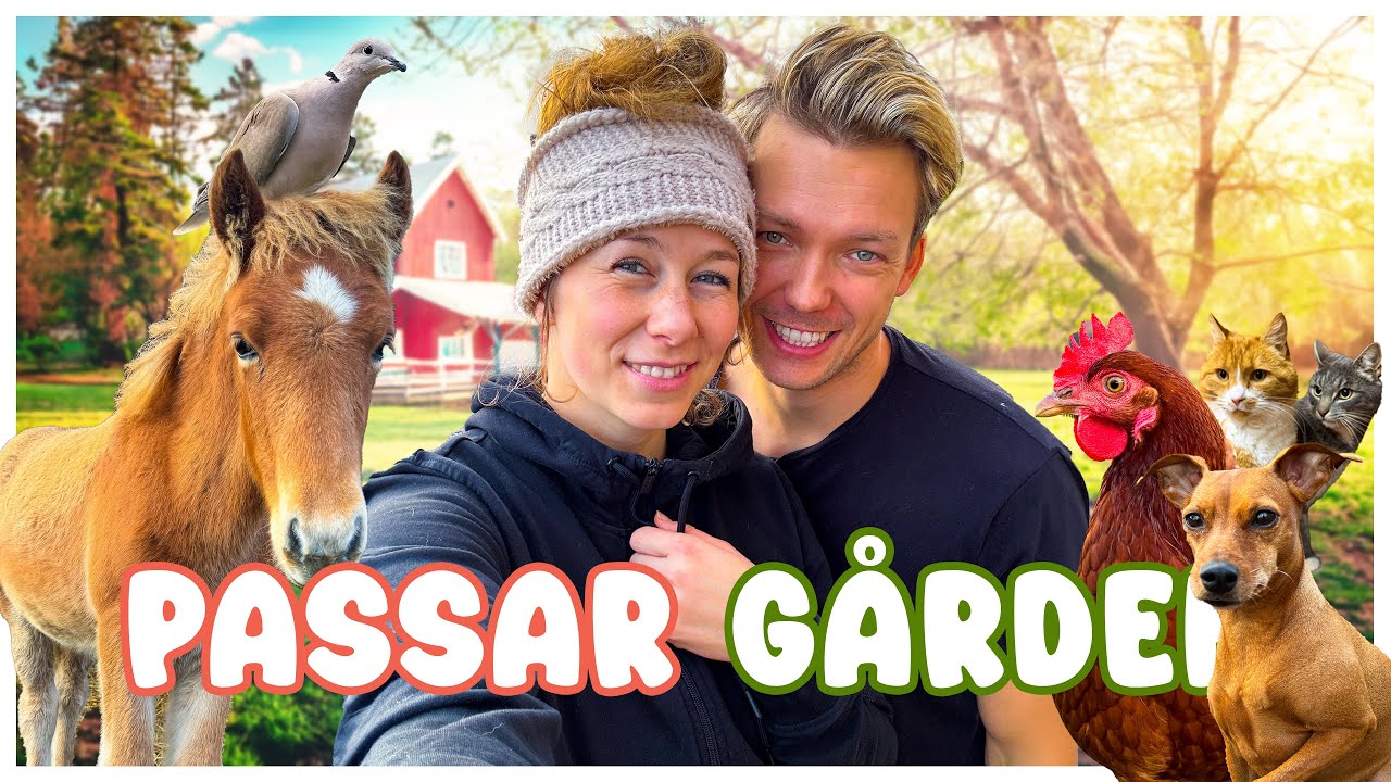 Passar hela gården & alla djur
