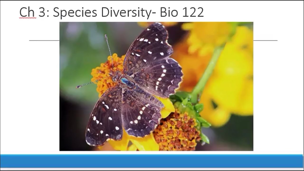 Bio 122 Conservation Biology Chapter 3: Species Diversity