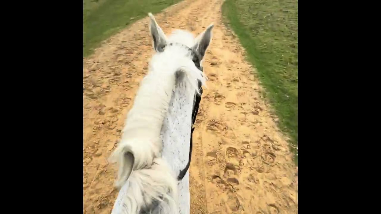 Winter hack in Windsor 