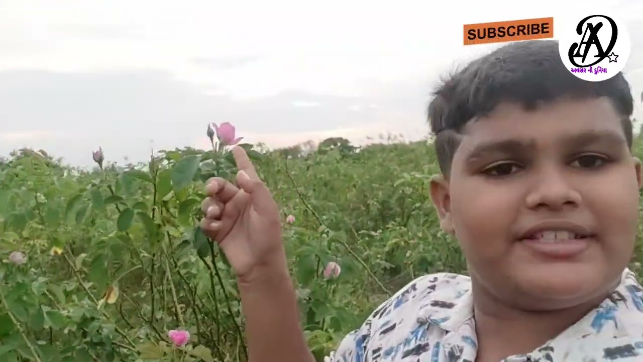 વાડી ની મોજ (રાણપર)