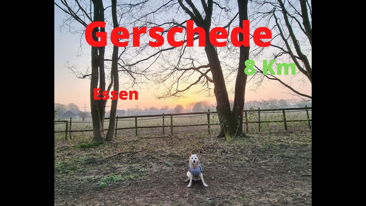 Essen Gerschede, 26.03.2022