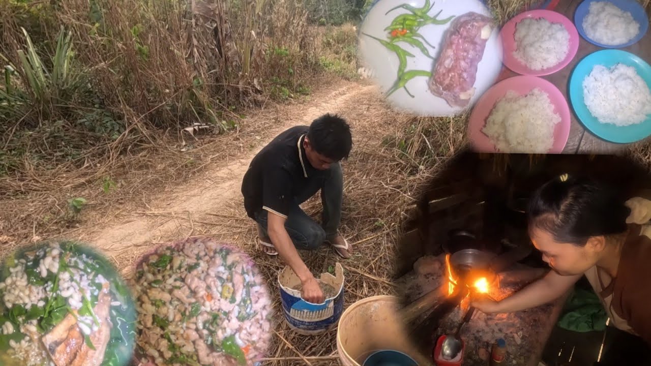 ผัดกระเพราชี้นหมูใส่ไข่มดแดง 1 มีนาคม ค.ศ. 2026