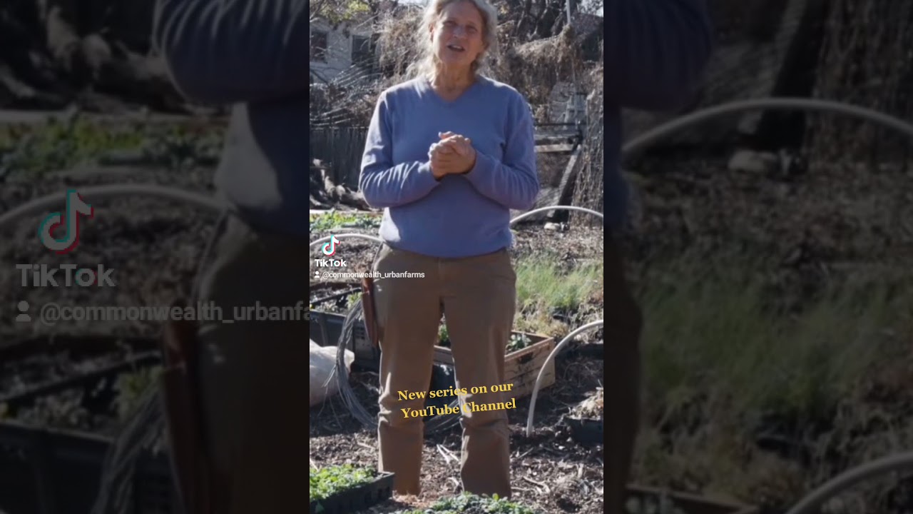 Using Compost as a Heat Source