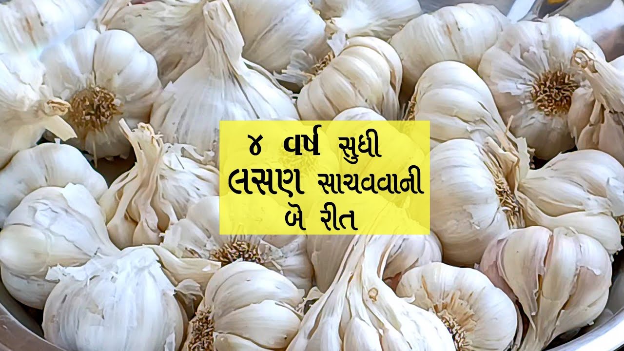 લસણ ને વર્ષો વર્ષ કેવી રીતે સાચવી શકાય ? | different ways to store garlic | how to store garlic