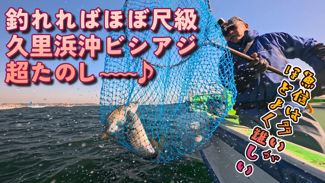 素直に魚信って超楽しい♪ 久里浜沖で尺級アジ乱舞!! ビシアジはこうでなくっちゃ～東京湾初釣りはおあずけだけどいい群れに当たる～（2026.2.21 京急大津・いなの丸 午前アジ）