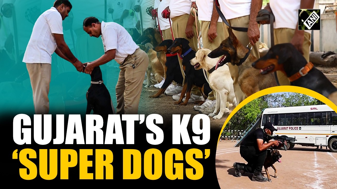 Gujarat Police K9 Unit Becomes More Lethal: &lsquo;Super Dogs&rsquo; Against Terror & Drugs