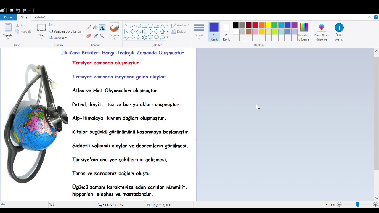 İlk Kara Bitkileri Hangi Jeolojik Zamanda Oluşmuştur