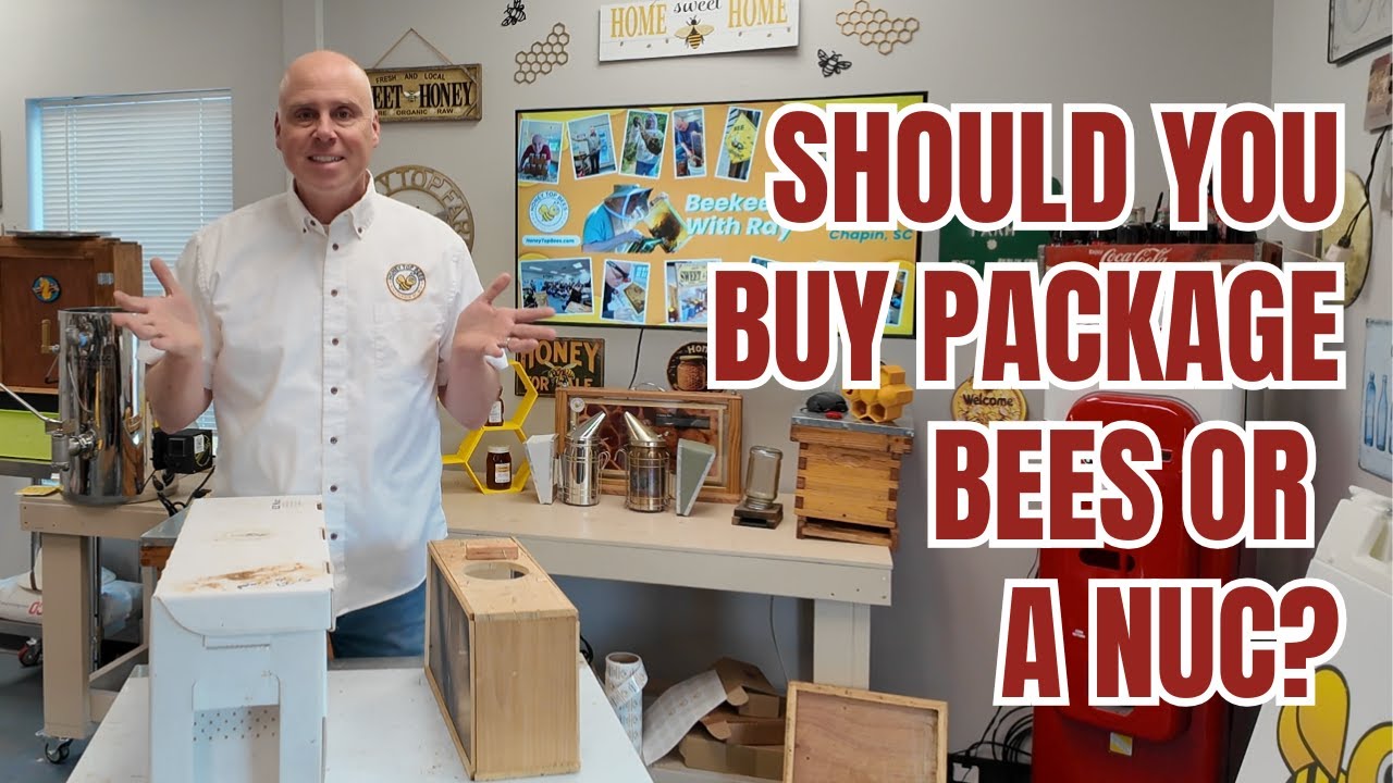 What Is The BEST Option For New Beekeepers Package Bees Or Nuc
