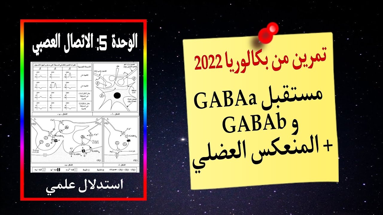 تمرين اتصال عصبي من بكالوريا  2022 🫢 مستقبلات الغابا والمنعكس العضلي