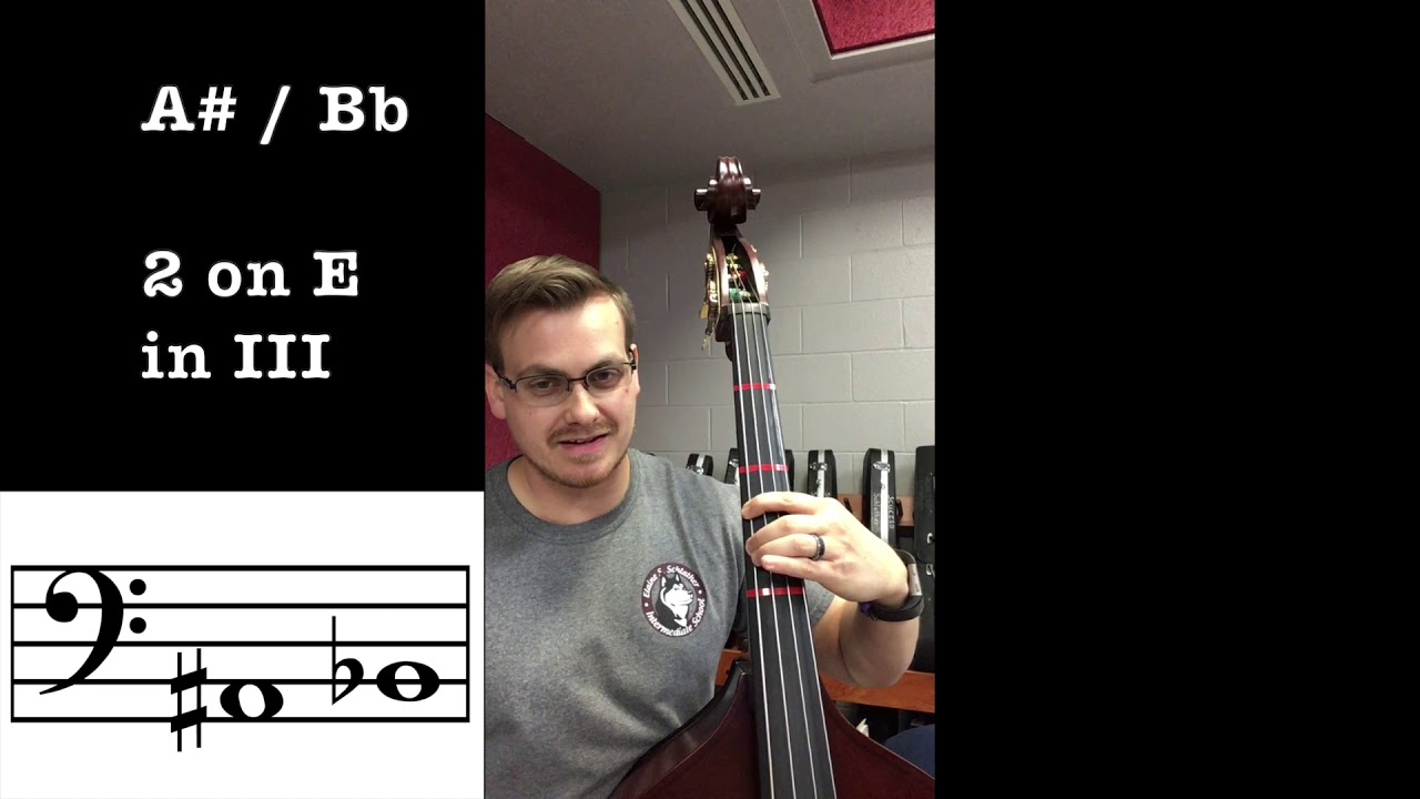 Bass Fingerings