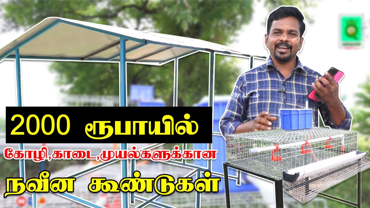 மொட்டைமாடியில் கோழி வளர்க்க நவீன கூண்டுகள் | Modern Cages for Chickens | Poultry Farm in Low Budget