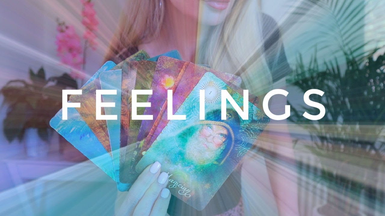 What is he/she thinking and feeling right now! PICK A CARD Tarot (Timeless)