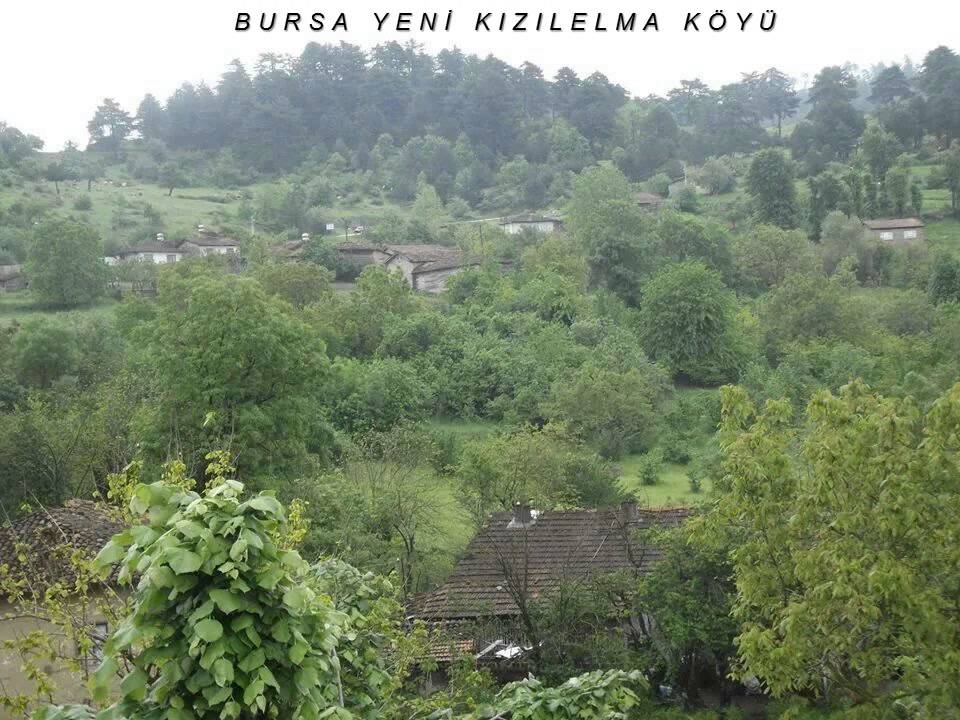 BURSA YENİ KIZILELMA KÖYÜ