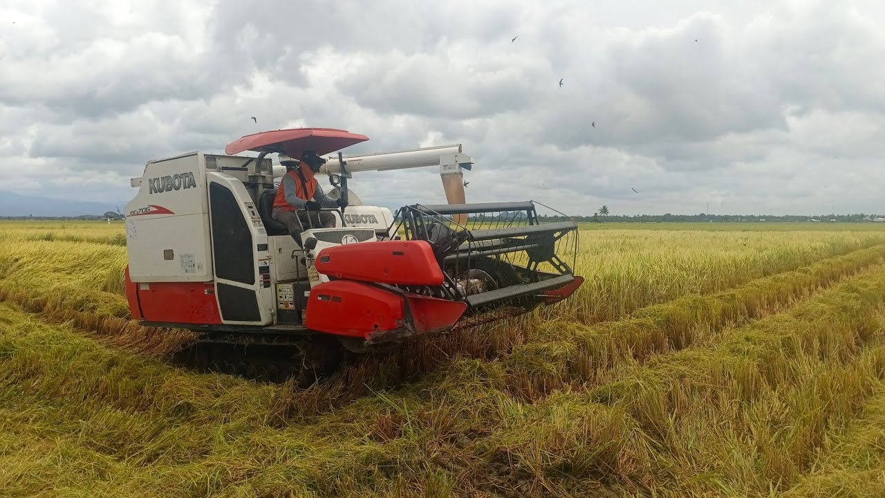 mesin panen padi kubota terbaru