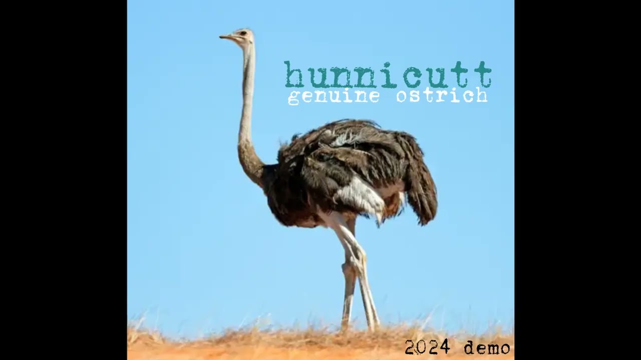 Hunnicutt - Genuine Ostrich (Raw Demo)