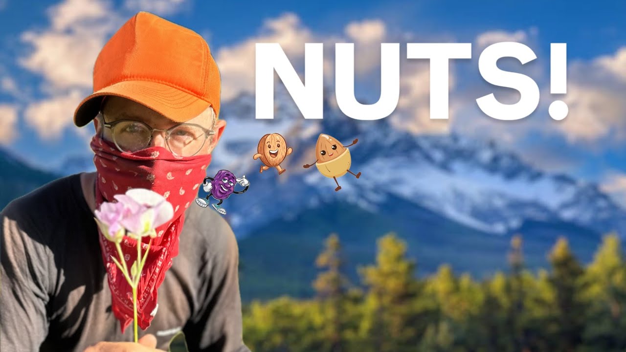I thru-hiked the APPALACHIAN TRAIL and only ate NUTS - meal plan!!!!