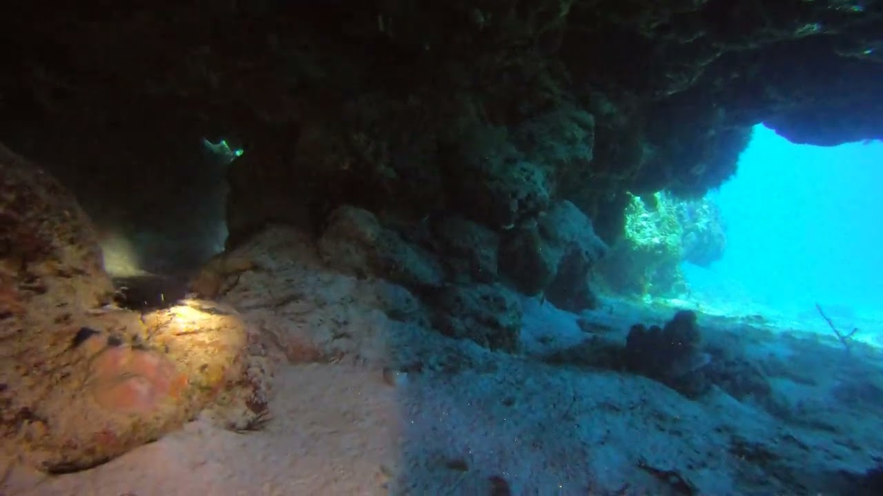 Long Open Swim through with a Crab