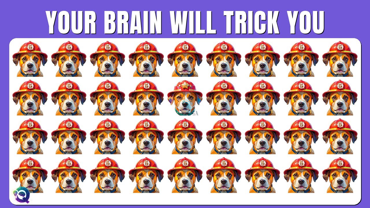 Find the ODD One Out - Dogs as Firefighters 🔥💪👊 | Easy, Medium, Hard - 42 Fun Levels | Quizity