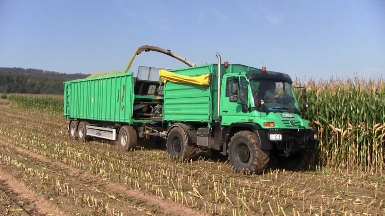 Lu Lölkes mit Unimog U 500 Beim Maisabfahren [HD]