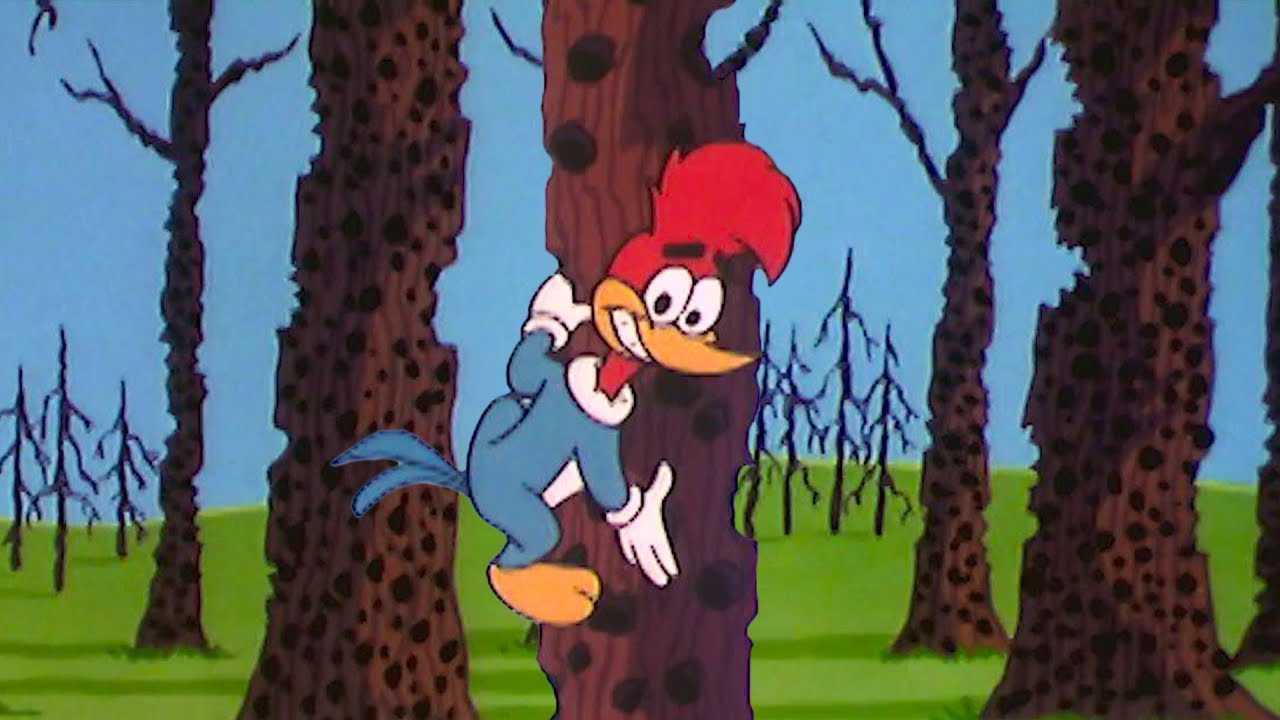 ¡Woody, deja de picotear! | El Pájaro Loco