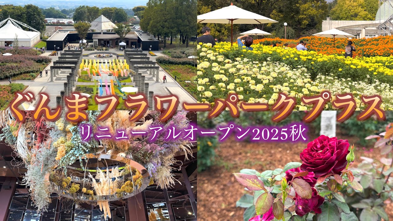 【リニューアルオープン2025秋】【ぐんまフラワーパークプラス】【群馬県　前橋市】／４Ｋ／Gunma Flower Park＋